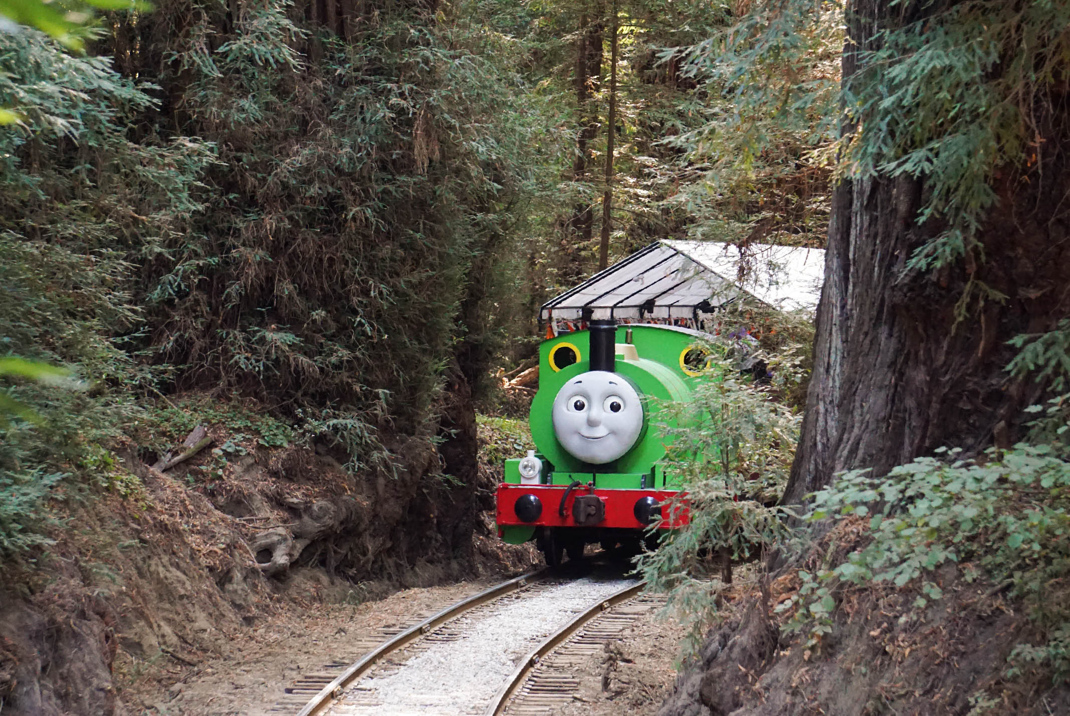 Thomas Train Archives Roaring Camp Railroads