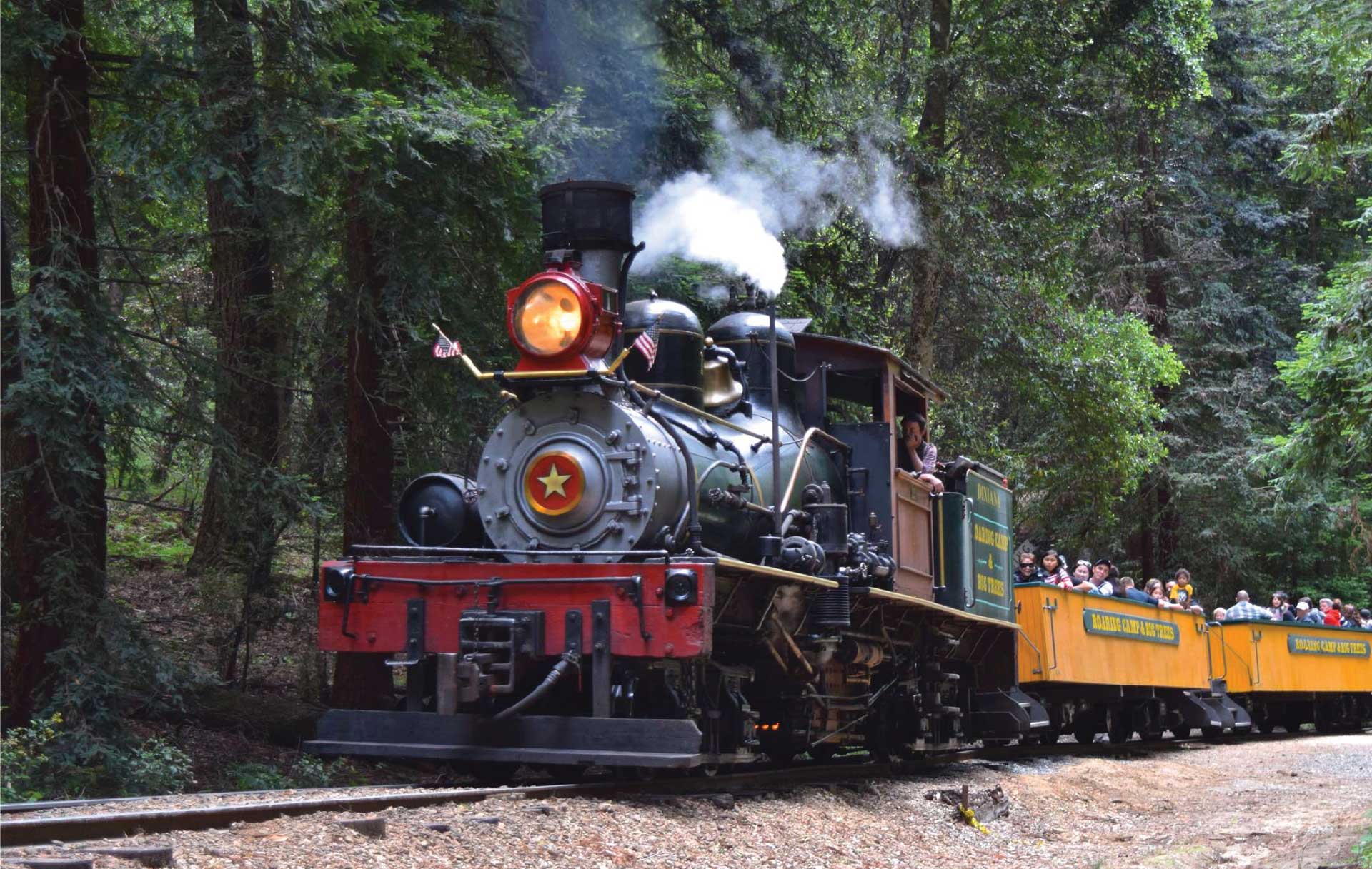 redwood-forest-steam-train