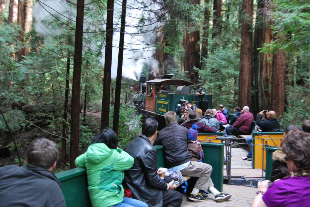 Home Roaring Camp Railroads