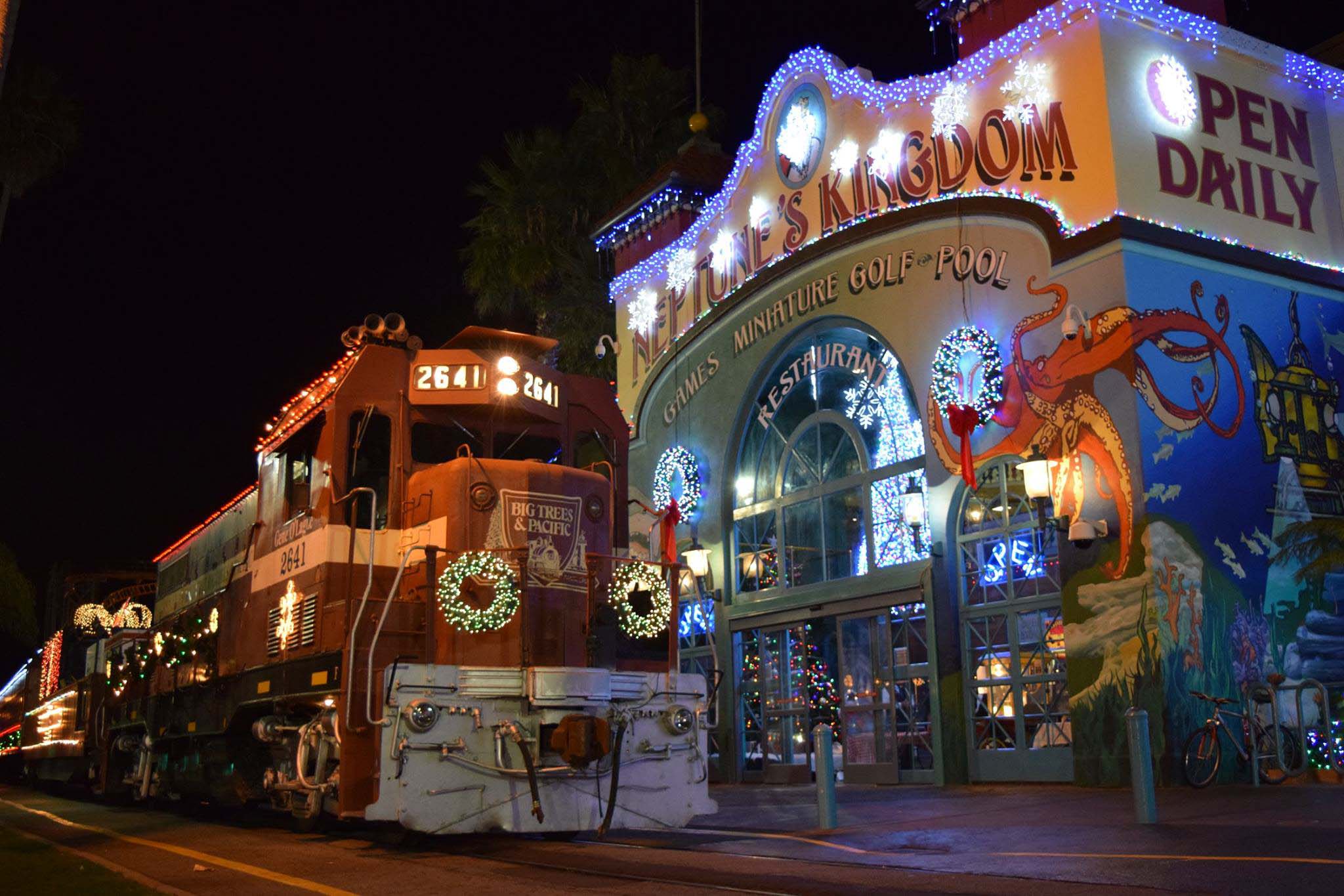 holiday-lights-train