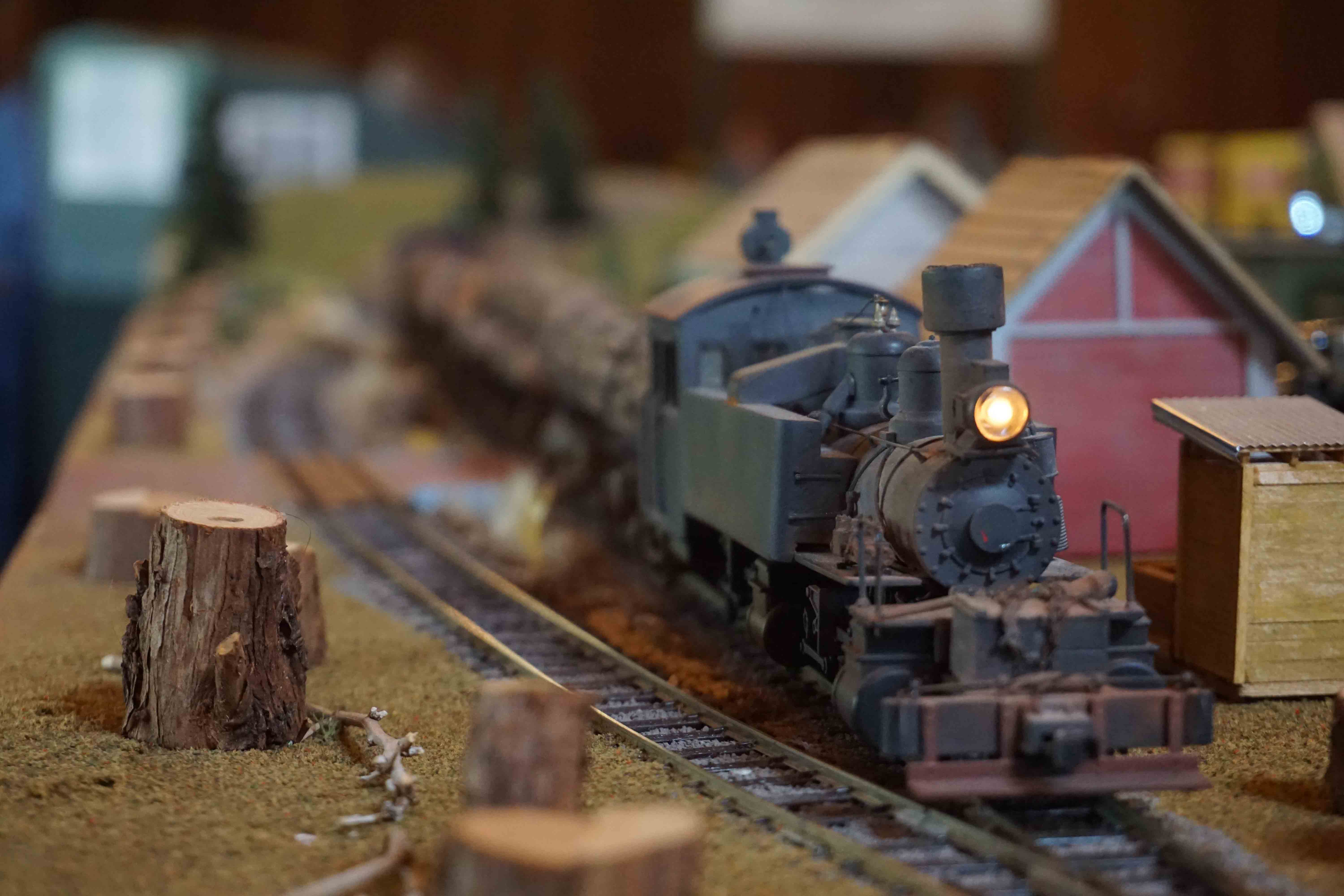model-train-railway-event