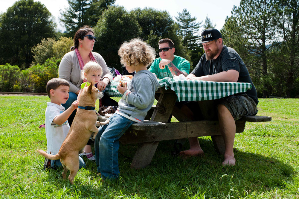 family picnic