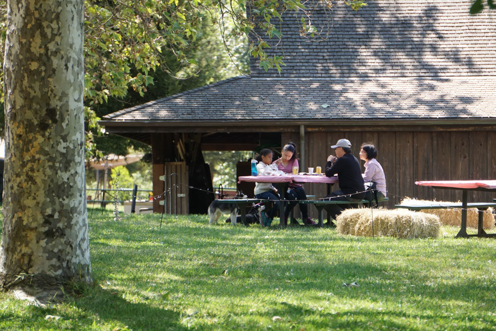 family-picnic