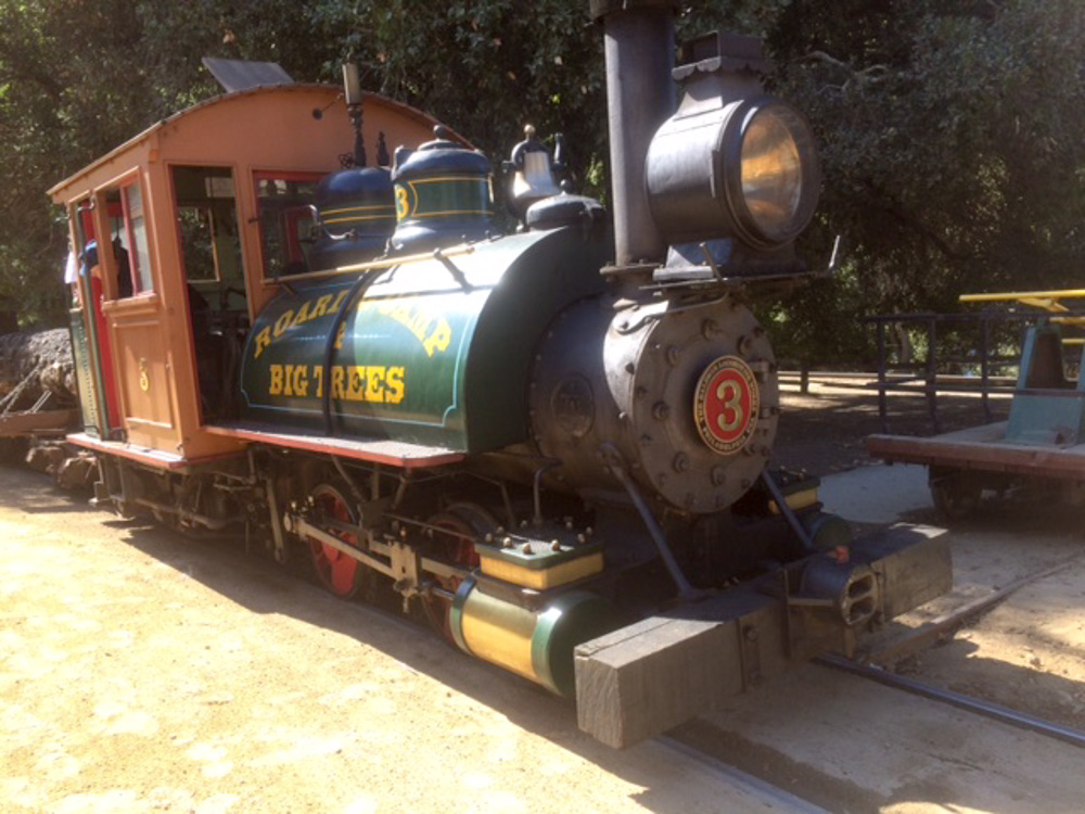 kahuku steam train