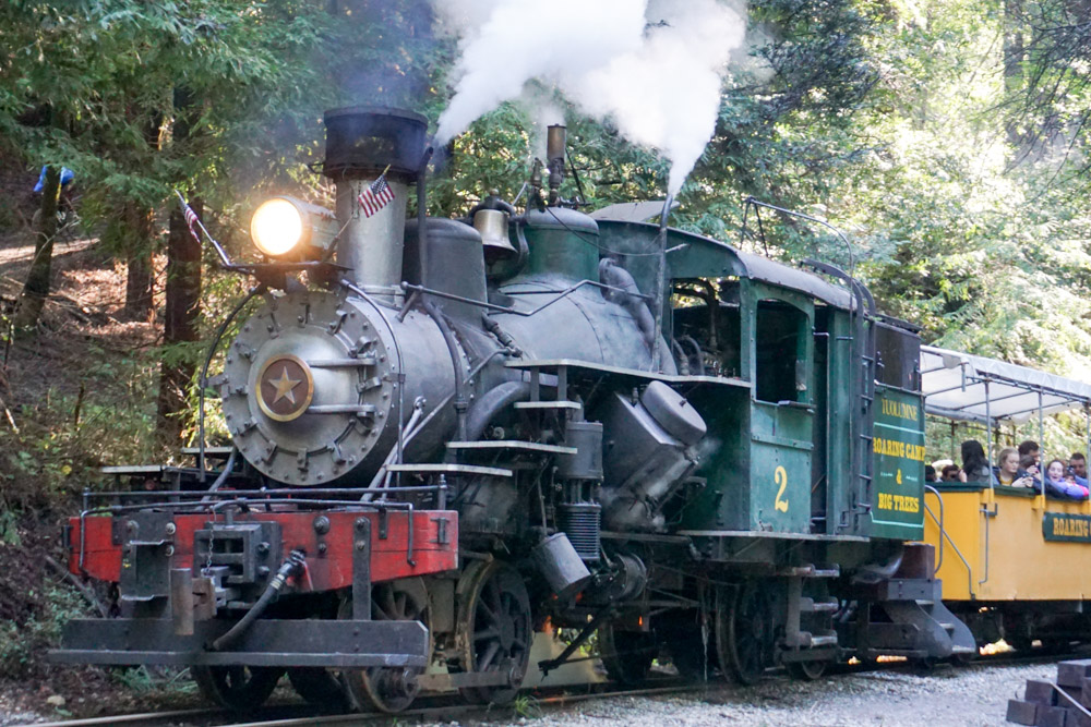 heisler steam train