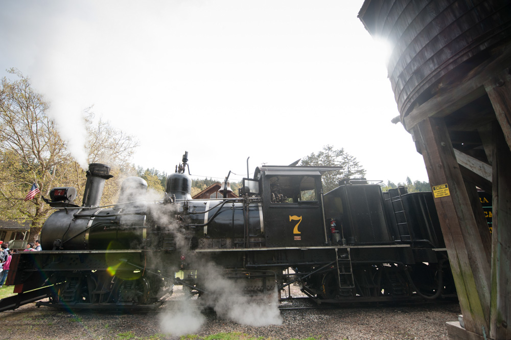 senora shay steam train